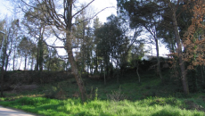 Parcel.la en venda a Santa Coloma Residencial